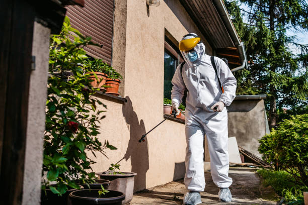 Best Pest Inspection Near Me  in Cadiz, OH