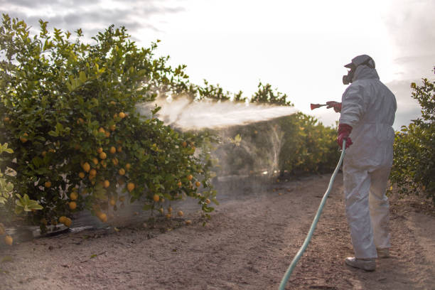 Flea Control Services in Cadiz, OH