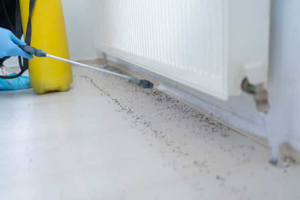 Best Mosquito Control Services  in Cadiz, OH