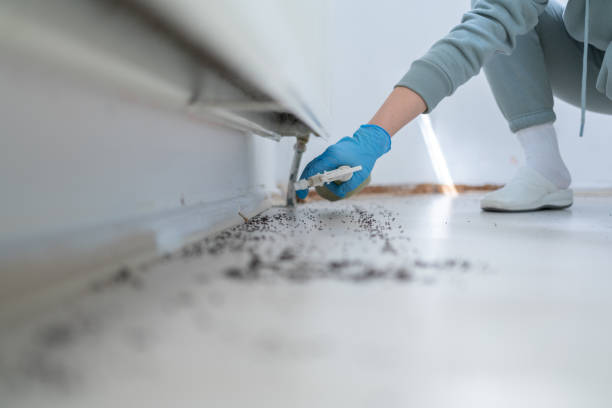 Best Affordable Pest Control Services  in Cadiz, OH