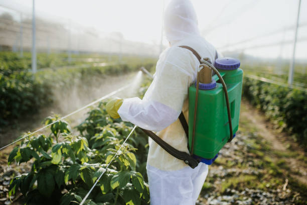 Best Local Pest Control Services  in Cadiz, OH